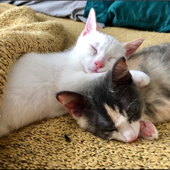 About me and my closet! - Picture 2 of 5